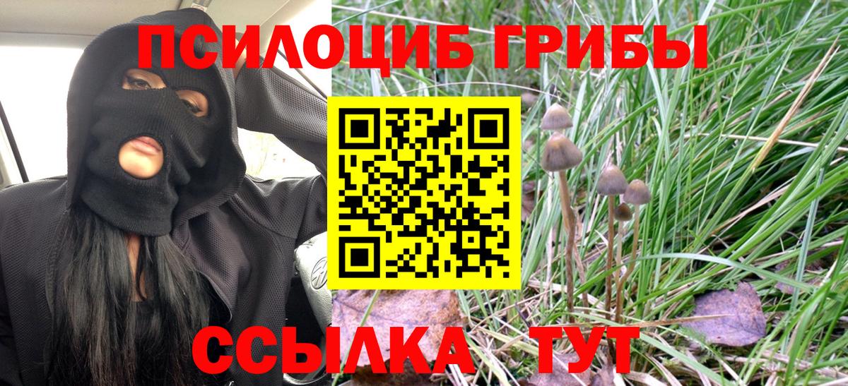 Трёхгорный  Псилоцибиновые грибы Magic Shrooms  Вход с VPN 